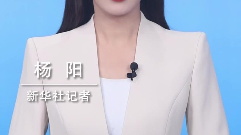 SaaS平台订阅费背后的考量因素