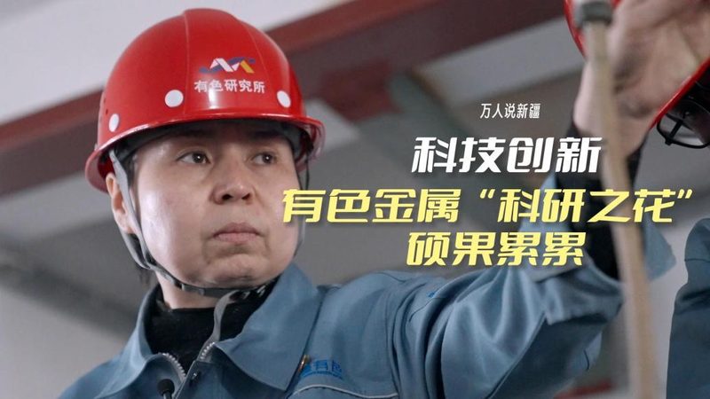数字化解决方案代理加盟，合同条款全解析**